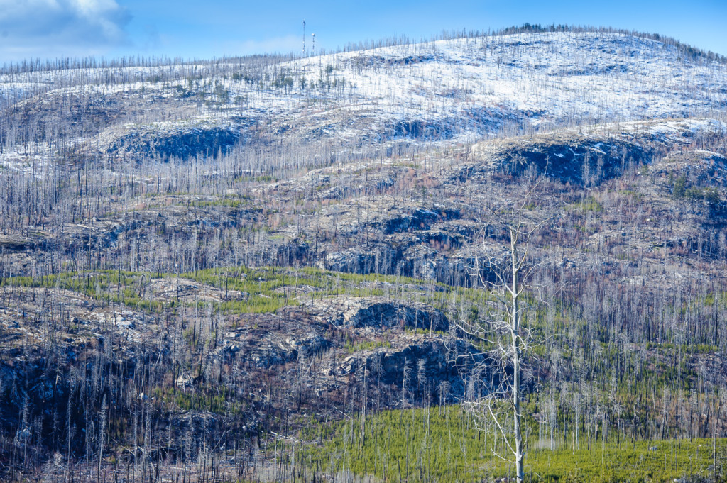 The barren rock of Okanagan Mountain rises above the forests east of Okanagan Lake between Penticton and Kelowna. Some of the higher forests have seen fire damage in past years. This view was taken from Chute Lake Road. (Richard McGuire Photo)