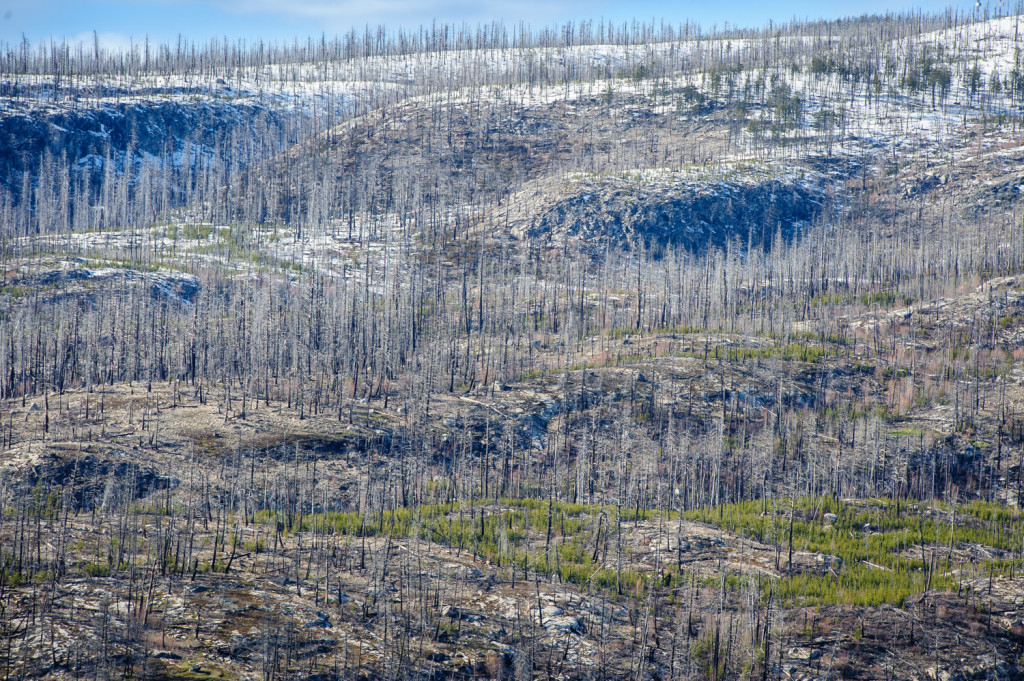 The barren rock of Okanagan Mountain rises above the forests east of Okanagan Lake between Penticton and Kelowna. Some of the higher forests have seen fire damage in past years. This view was taken from Chute Lake Road. (Richard McGuire photo)
